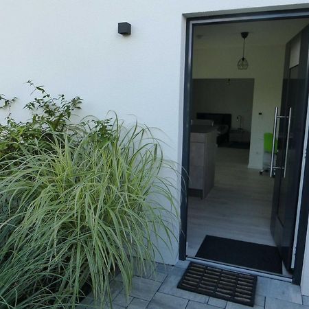 Forststrasse Apartment Stockstadt am Main المظهر الخارجي الصورة