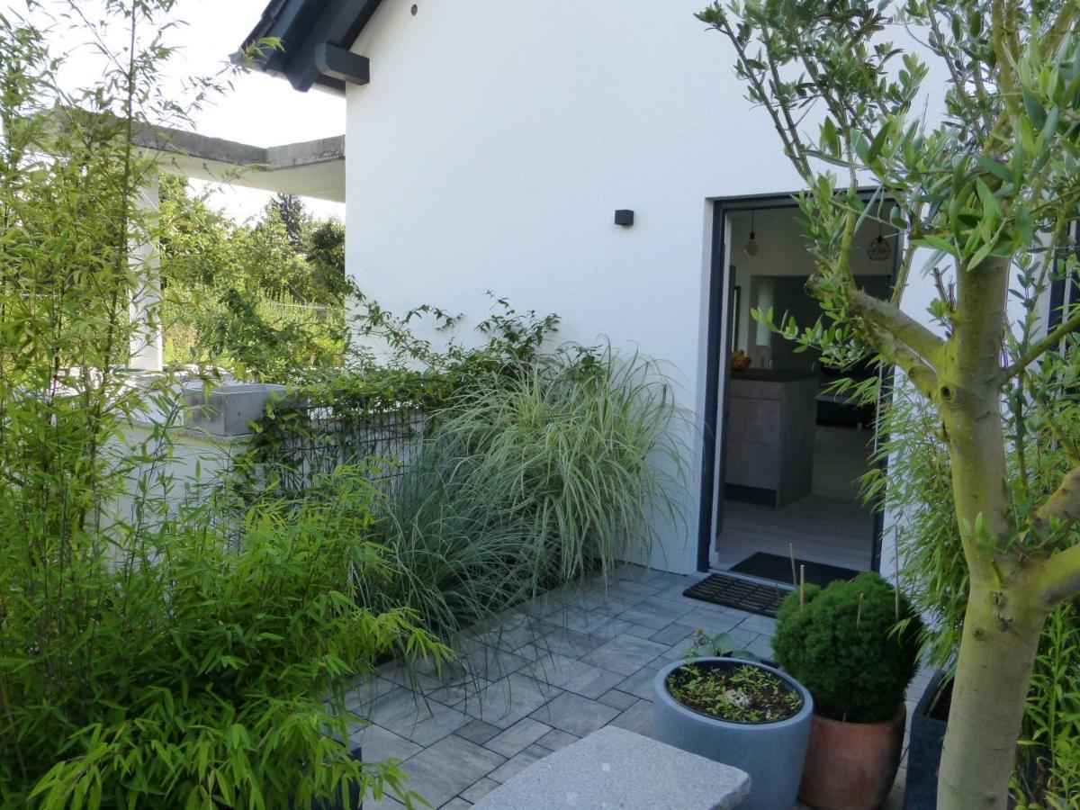 Forststrasse Apartment Stockstadt am Main المظهر الخارجي الصورة